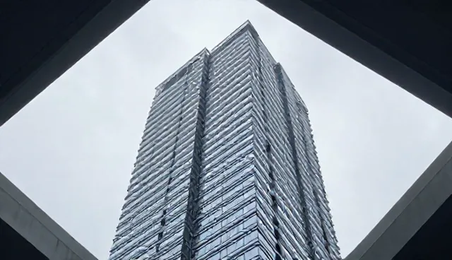 种植技术指导中的常见问题与维护建议